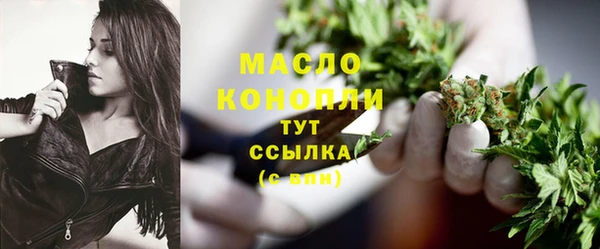 стаф Дмитриев