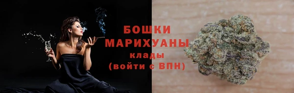стаф Дмитриев