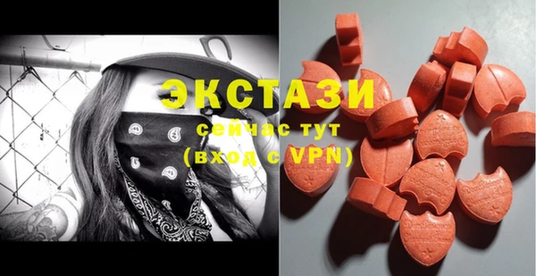 стаф Дмитриев