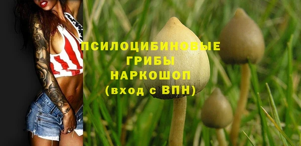 стаф Дмитриев