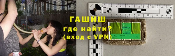 стаф Дмитриев