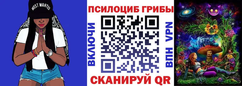 Псилоцибиновые грибы мухоморы  hydra маркетплейс  Екатеринбург  где найти наркотики 